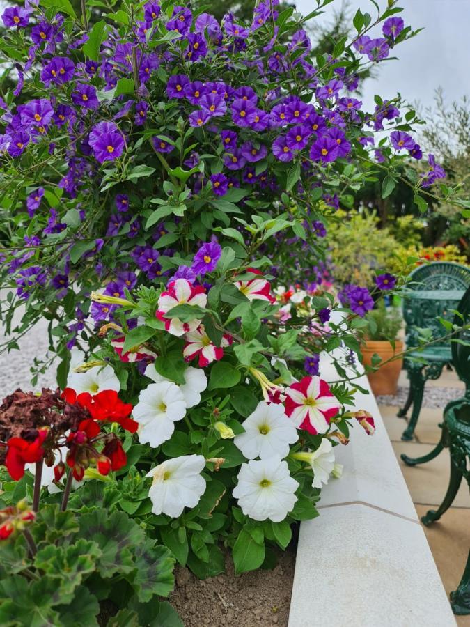 Balcary Bay Country House Hotel Auchencairn 외부 사진