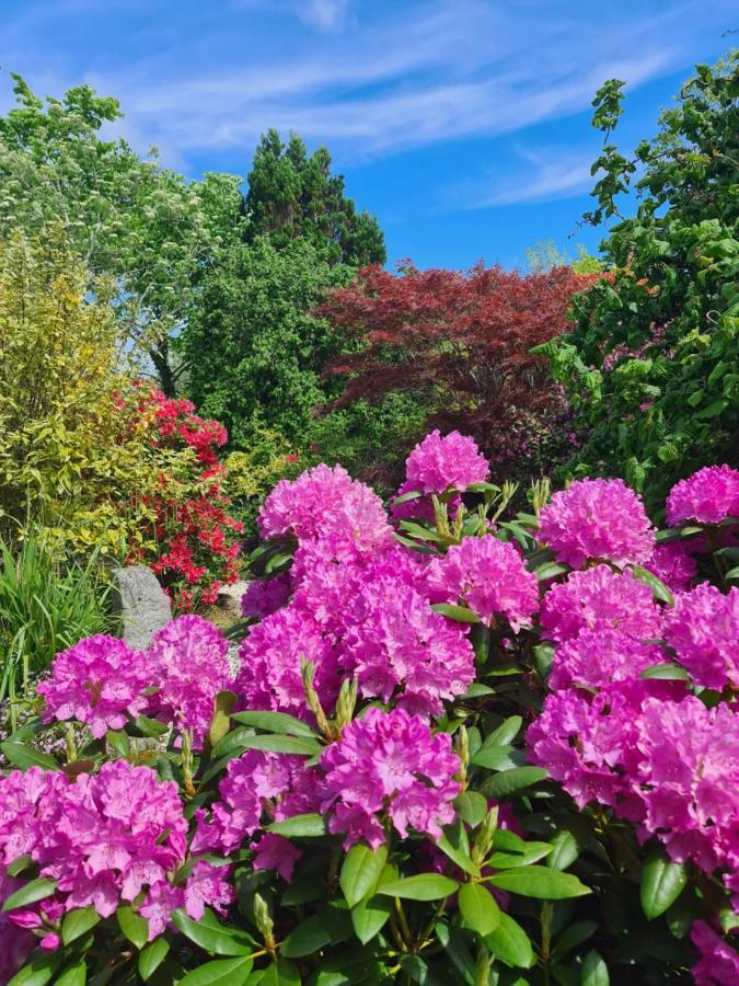Balcary Bay Country House Hotel Auchencairn 외부 사진
